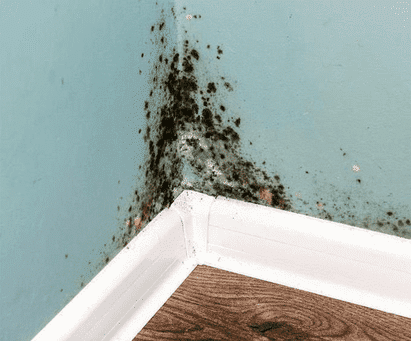 Guide to Water Damage Property Claim Lawyer